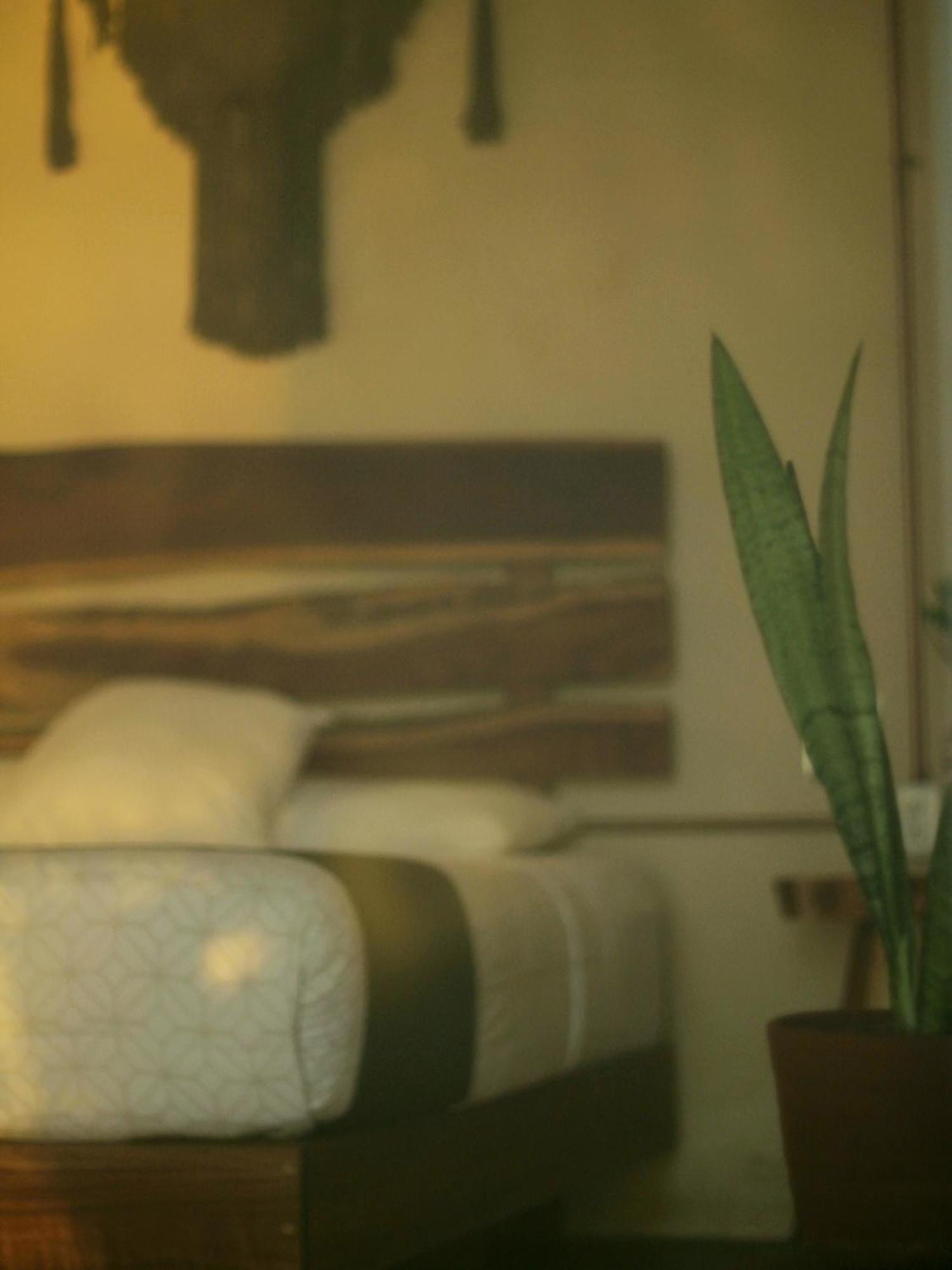 Hotel Tropic Bacalar Zewnętrze zdjęcie