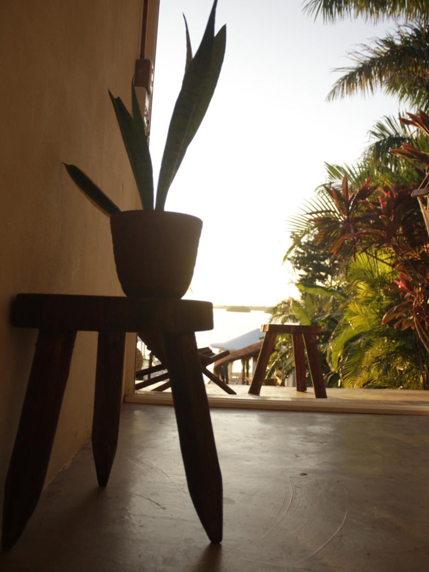 Hotel Tropic Bacalar Zewnętrze zdjęcie